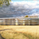 Illustration for article titled Apples New Mothership Campus Shows Mysterious Research Facilities
